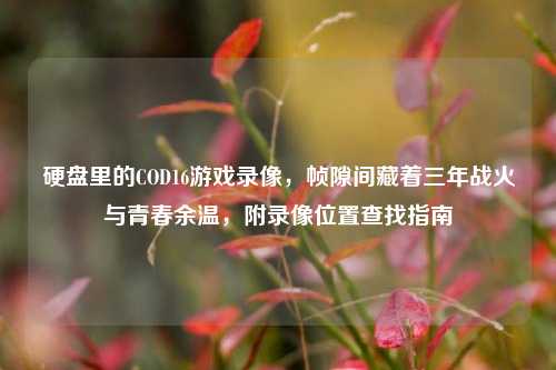 硬盘里的COD16游戏录像,帧隙间藏着三年战火与青春余温,附录像位置查找指南