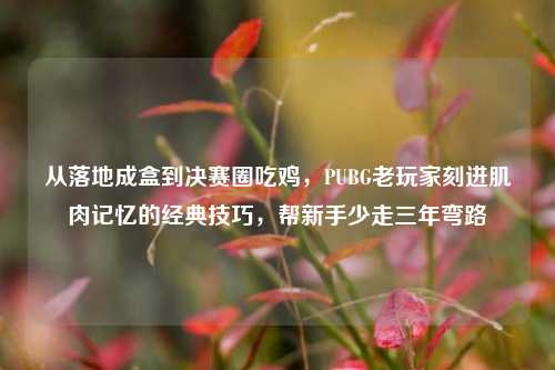 从落地成盒到决赛圈吃鸡，PUBG老玩家刻进肌肉记忆的经典技巧，帮新手少走三年弯路