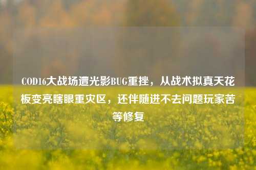 COD16大战场遭光影BUG重挫，从战术拟真天花板变亮瞎眼重灾区，还伴随进不去问题玩家苦等修复