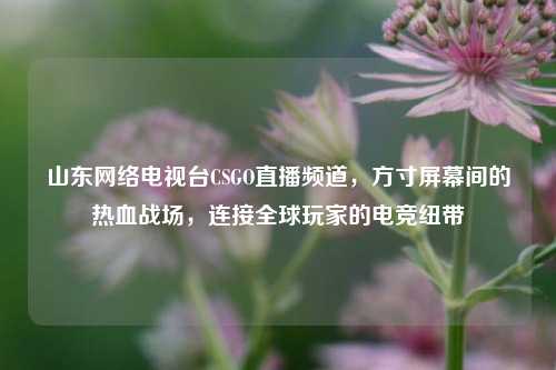 山东网络电视台CSGO直播频道，方寸屏幕间的热血战场，连接全球玩家的电竞纽带