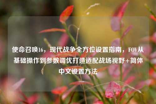 使命召唤16,现代战争全方位设置指南,FOV从基础操作到参数调优打造适配战场视野+简体中文设置方法