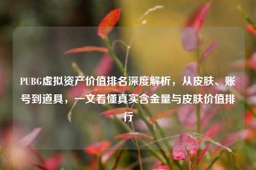 PUBG虚拟资产价值排名深度解析,从皮肤、账号到道具,一文看懂真实含金量与皮肤价值排行