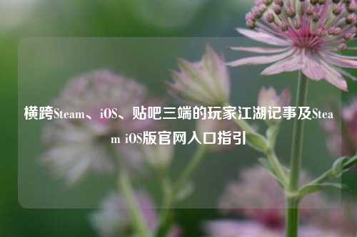 横跨Steam、iOS、贴吧三端的玩家江湖记事及Steam iOS版官网入口指引