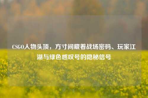 CSGO人物头顶，方寸间藏着战场密码、玩家江湖与绿色感叹号的隐秘信号