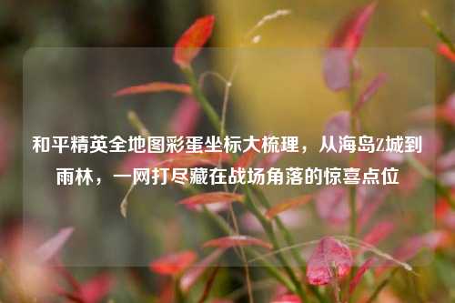 和平精英全地图彩蛋坐标大梳理,从海岛Z城到雨林,一网打尽藏在战场角落的惊喜点位