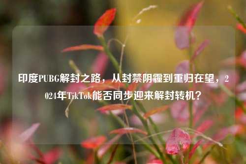 印度PUBG解封之路,从封禁阴霾到重归在望,2024年TikTok能否同步迎来解封转机?