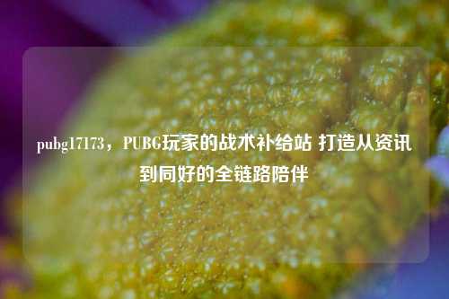 pubg17173，PUBG玩家的战术补给站 打造从资讯到同好的全链路陪伴