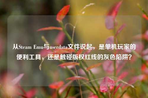 从Steam Emu与userdata文件说起,是单机玩家的便利工具,还是触碰版权红线的灰色陷阱?
