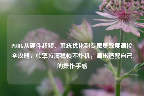 PUBG从硬件超频、系统优化到专属灵敏度调校全攻略,帧率拉满稳帧不炸机,调出适配自己的操作手感