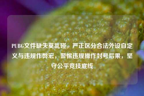 PUBG文件缺失莫乱碰,严正区分合法外设自定义与违规作弊宏,警惕违规操作封号后果,坚守公平竞技底线
