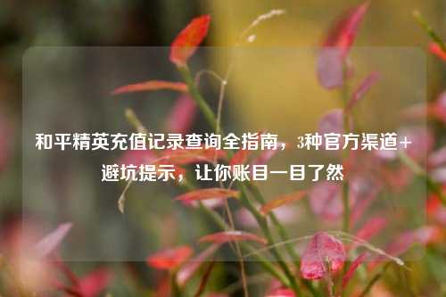 和平精英充值记录查询全指南,3种官方渠道+避坑提示,让你账目一目了然