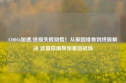 COD16加速/连接失败别慌！从原因排查到终极解决 这篇指南帮你重回战场
