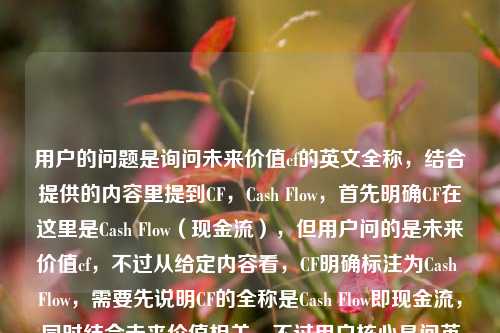 用户的问题是询问未来价值cf的英文全称,结合提供的内容里提到CF,Cash Flow,首先明确CF在这里是Cash Flow(现金流),但用户问的是未来价值cf,不过从给定内容看,CF明确标注为Cash Flow,需要先说明CF的全称是Cash Flow即现金流,同时结合未来价值相关,不过用户核心是问英文全称,所以首先给出CF的英文全称是Cash Flow,也就是现金流,另外要注意未来价值通常是Future Value(FV),可能用户是否有混淆?不过根据提供的内容里明确写了CF,Cash Fl