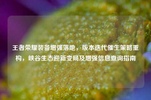 王者荣耀装备增强落地，版本迭代催生策略重构，峡谷生态迎新变局及增强信息查询指南