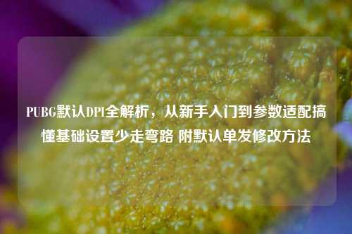 PUBG默认DPI全解析,从新手入门到参数适配搞懂基础设置少走弯路 附默认单发修改方法