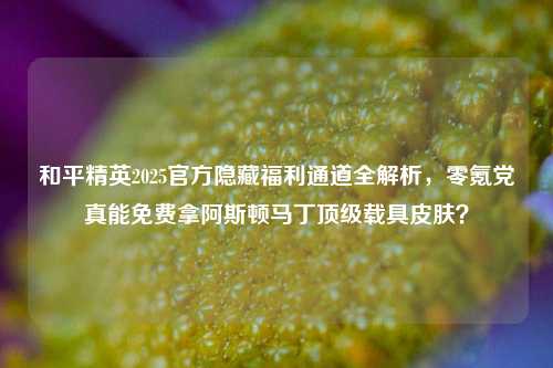 和平精英2025官方隐藏福利通道全解析,零氪党真能免费拿阿斯顿马丁顶级载具皮肤?