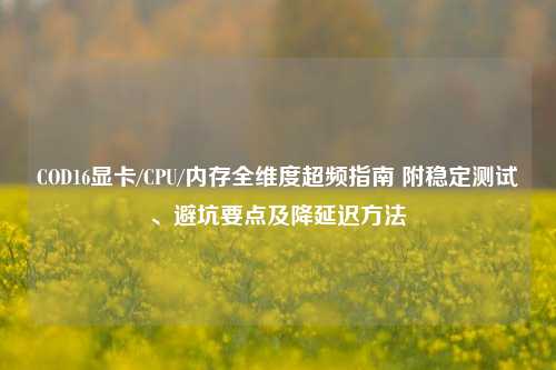 COD16显卡/CPU/内存全维度超频指南 附稳定测试、避坑要点及降延迟方法