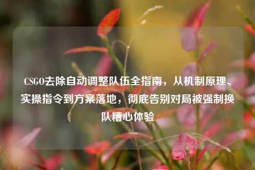 CSGO去除自动调整队伍全指南，从机制原理、实操指令到方案落地，彻底告别对局被强制换队糟心体验