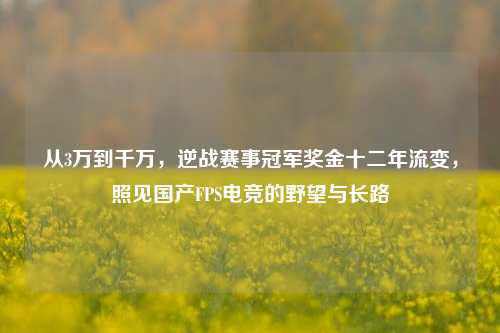 从3万到千万，逆战赛事冠军奖金十二年流变，照见国产FPS电竞的野望与长路