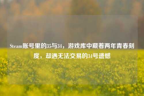 Steam账号里的35与34，游戏库中藏着两年青春刻度，却遇无法交易的34号遗憾