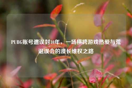 PUBG账号遭误封10年，一场横跨游戏热爱与荒诞误会的漫长维权之路