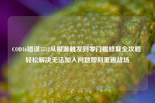 COD16错误5518从根源触发到零门槛修复全攻略 轻松解决无法加入问题即刻重返战场