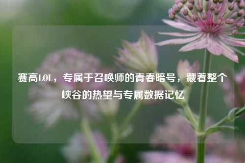 赛高LOL,专属于召唤师的青春暗号,藏着整个峡谷的热望与专属数据记忆