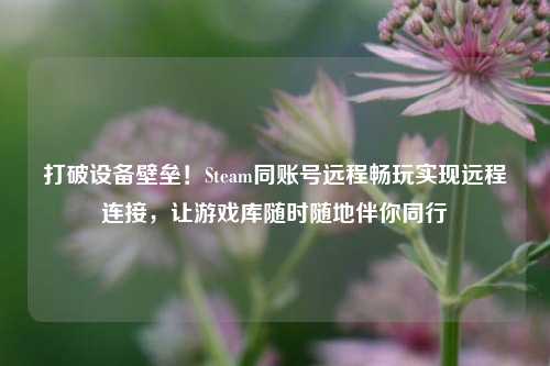打破设备壁垒！Steam同账号远程畅玩实现远程连接，让游戏库随时随地伴你同行
