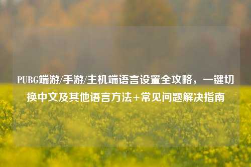 PUBG端游/手游/主机端语言设置全攻略,一键切换中文及其他语言方法+常见问题解决指南
