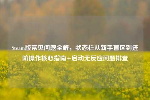 Steam版常见问题全解,状态栏从新手盲区到进阶操作核心指南+启动无反应问题排查