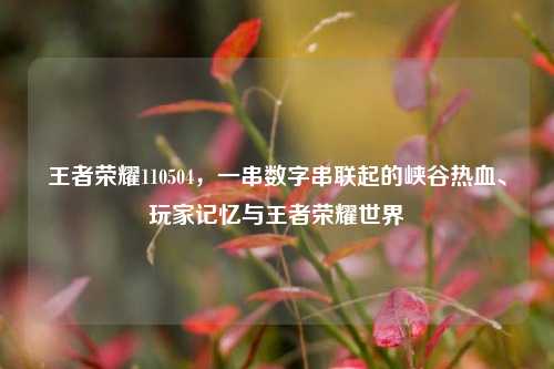 王者荣耀110504，一串数字串联起的峡谷热血、玩家记忆与王者荣耀世界