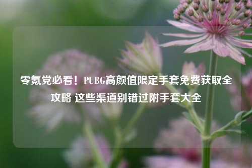 零氪党必看!PUBG高颜值限定手套免费获取全攻略 这些渠道别错过附手套大全