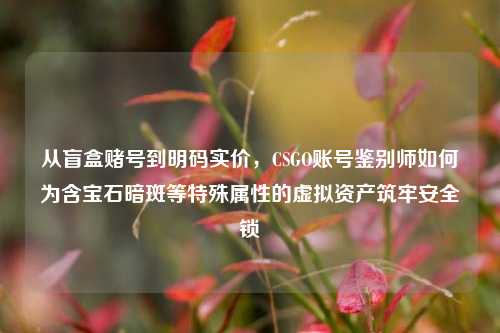 从盲盒赌号到明码实价,CSGO账号鉴别师如何为含宝石暗斑等特殊属性的虚拟资产筑牢安全锁