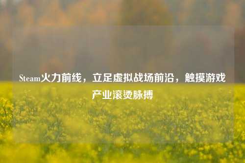 Steam火力前线,立足虚拟战场前沿,触摸游戏产业滚烫脉搏