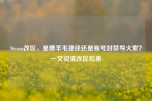 Steam改区,是薅羊毛捷径还是账号封禁导火索?一文说清改区后果