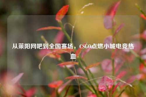从莱阳网吧到全国赛场,CSGO点燃小城电竞热血