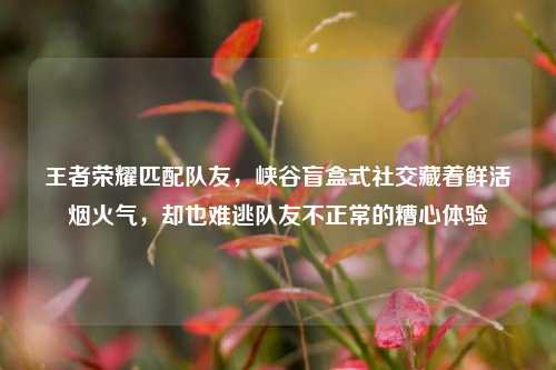 王者荣耀匹配队友,峡谷盲盒式社交藏着鲜活烟火气,却也难逃队友不正常的糟心体验