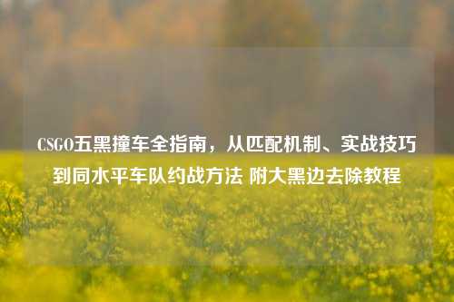 CSGO五黑撞车全指南,从匹配机制、实战技巧到同水平车队约战方法 附大黑边去除教程