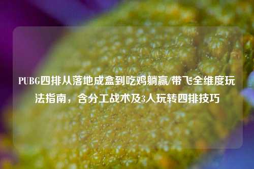 PUBG四排从落地成盒到吃鸡躺赢/带飞全维度玩法指南,含分工战术及3人玩转四排技巧