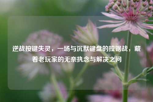 逆战按键失灵,一场与沉默键盘的拉锯战,藏着老玩家的无奈执念与解决之问