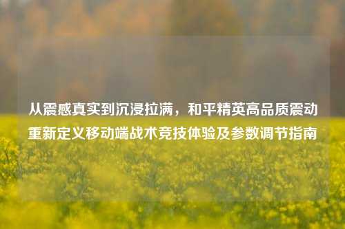 从震感真实到沉浸拉满,和平精英高品质震动重新定义移动端战术竞技体验及参数调节指南