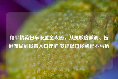 和平精英扫车设置全攻略，从灵敏度微调、按键布局到设置入口详解 教你稳扫移动靶不马枪