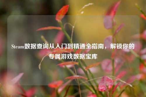Steam数据查询从入门到精通全指南,解锁你的专属游戏数据宝库