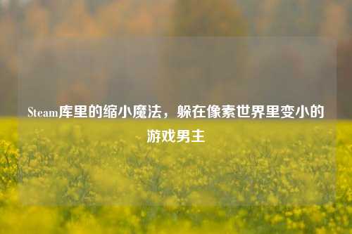Steam库里的缩小魔法，躲在像素世界里变小的游戏男主