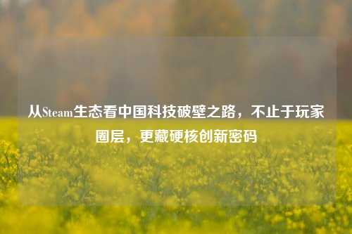 从Steam生态看中国科技破壁之路,不止于玩家圈层,更藏硬核创新密码