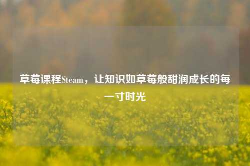 草莓课程Steam,让知识如草莓般甜润成长的每一寸时光