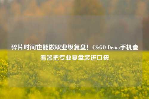 碎片时间也能做职业级复盘!CS:GO Demo手机查看器把专业复盘装进口袋