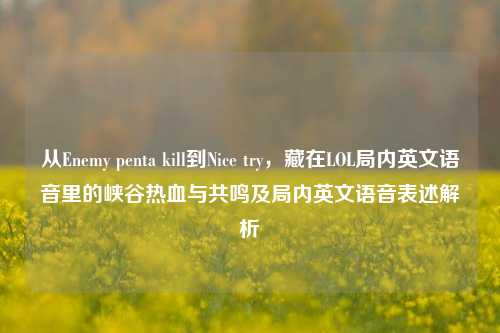 从Enemy penta kill到Nice try，藏在LOL局内英文语音里的峡谷热血与共鸣及局内英文语音表述解析