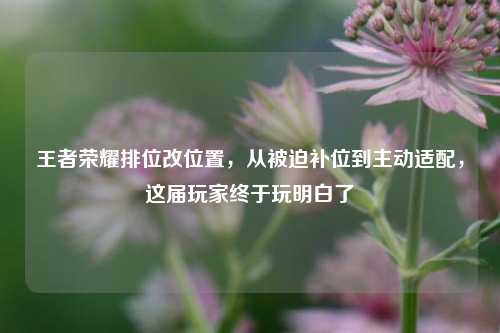 王者荣耀排位改位置,从被迫补位到主动适配,这届玩家终于玩明白了