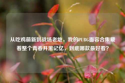 从吃鸡萌新到战场老炮，我的PUBG面容合集藏着整个青春开黑记忆，到底哪款最好看？